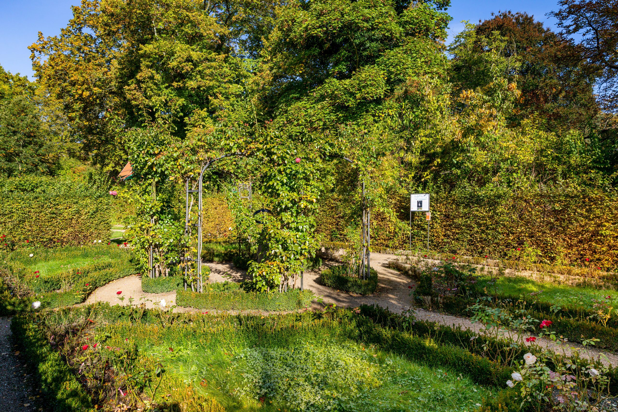 Rosengarten vor den Erhaltungsmaßnahmen, 2022, © sevens[+]maltry, Potsdam