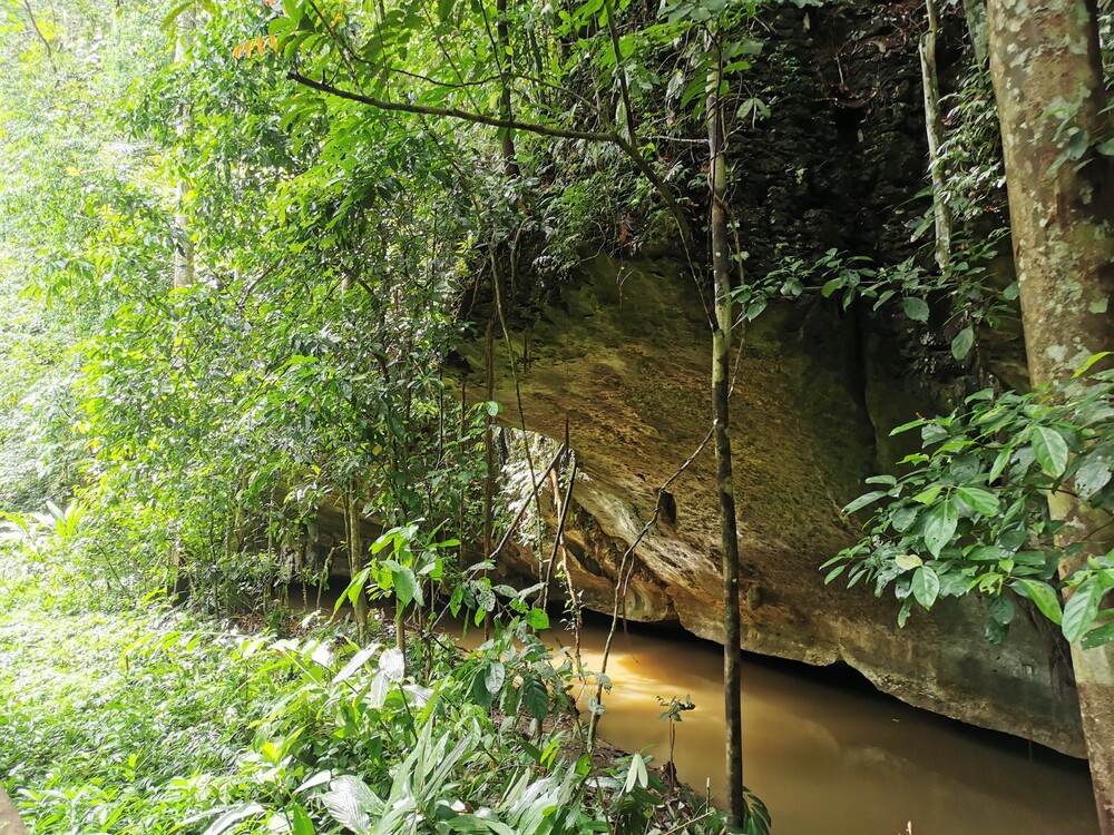 Ebenfalls neue auf der Welterbeliste ist ein Höhlenkomplex in Malaysia. Fotograf: Sarawak Museum Department Copyright: © Sarawak Museum Department